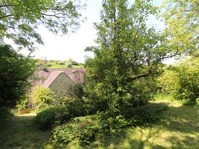 Picture 33